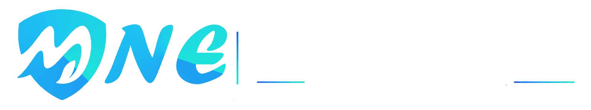 MNE Enterprises